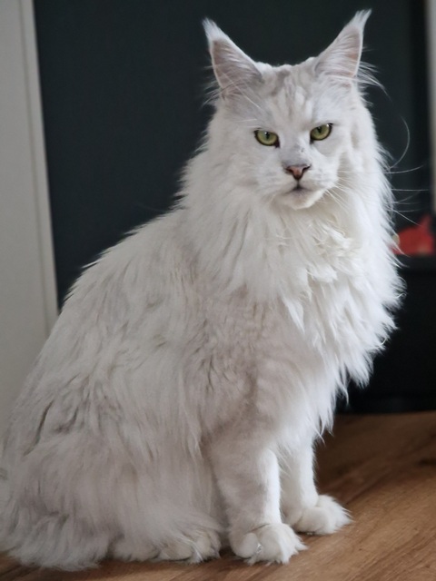 kaspian2025-08-002 (68 kb) click to view